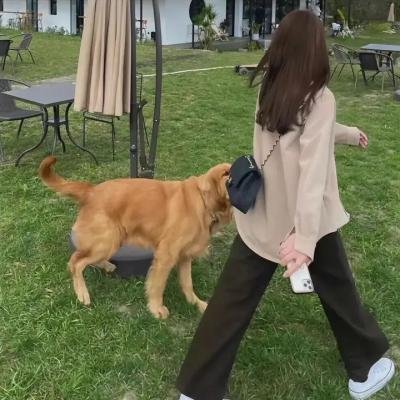 恋人们海报