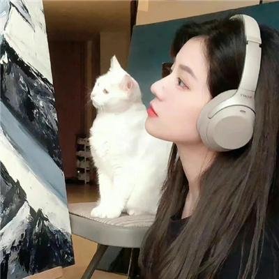 最佳伴侣海报